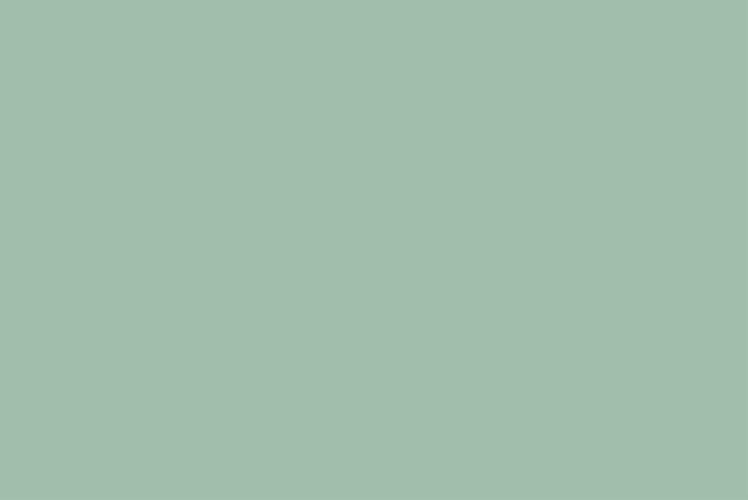 Havgrøn lynlås